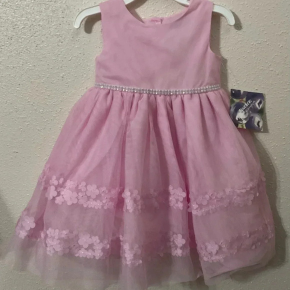 Blueberi Boulevard Pink Little Girls Embroidered & Embellished Mesh Dress 24 M - Picture 1 of 6